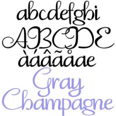 pn gray champagne