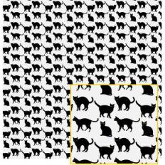 black cats pattern