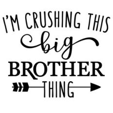 i'm crushing this big brother thing
