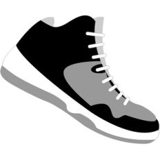 shoe - slam dunk