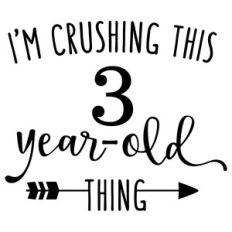 i'm crushing this 3 year old thing phrase