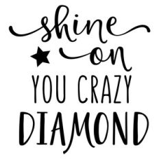 shine on you crazy diamond phrase