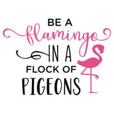 be a flamingo phrase