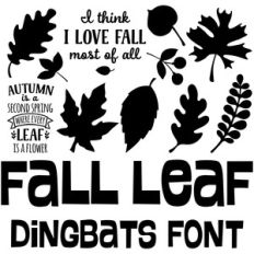 fall leaf dingbats font