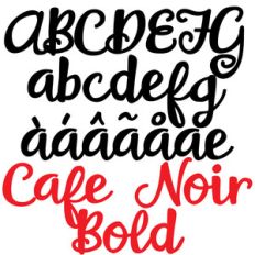 zp cafe noir bold