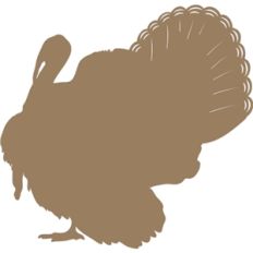 turkey shape