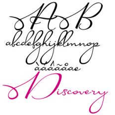 zp discovery