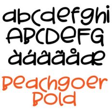 pn beachgoer bold