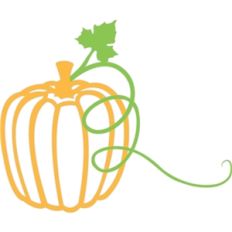 pumpkin vine