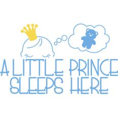 a little prince sleeps here