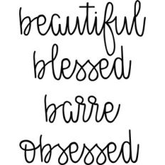 beautiful barre obsessed