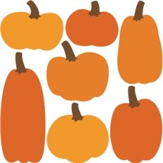 7 pumpkins