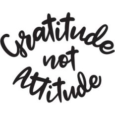 gratitude not attitude