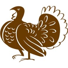 turkey