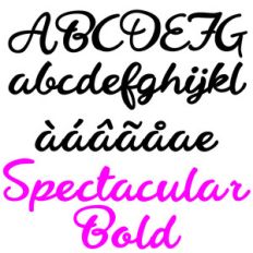 zp spectacular bold