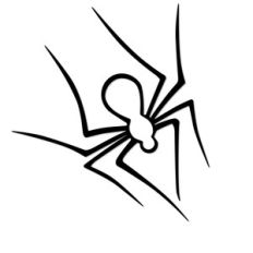 spider
