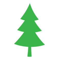 pine tree