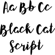 black cat script font