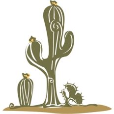 cactus - saguaro