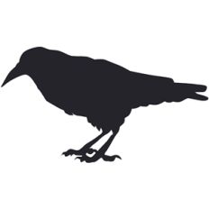 crow