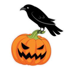 crow jack-o-lantern pumpkin