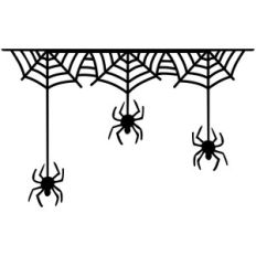 creepy spiders