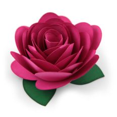 rolled flower