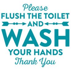 please flush the toilet