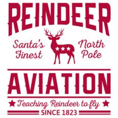 reindeer aviation