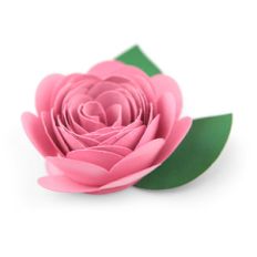 rolled flower 26