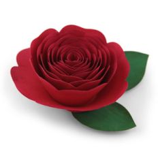 rolled flower 29