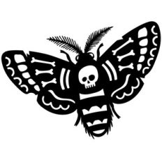 death moth