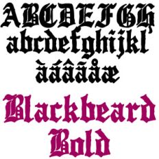 pn blackbeard bold