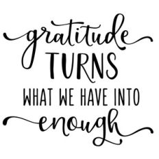 gratitude turns what we have into enough