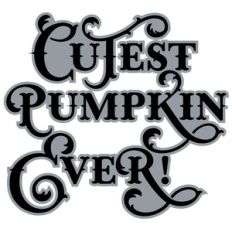 cutest pumpkin ever quote