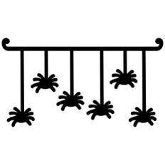 spider border