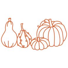 pumpkin and squashes repeating border