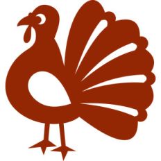 turkey