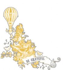 hot air balloon