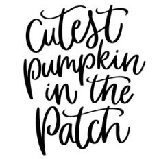 cutest pumpkin in the patch