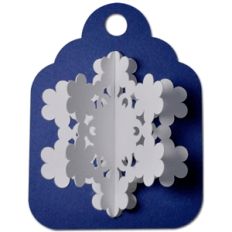 snowflake tag 3d