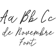 de novembre script font