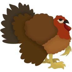 turkey