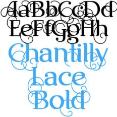 snf chantilly lace bold
