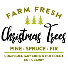 farm fresh trees