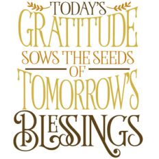 today's gratitude tomorrow's blessings