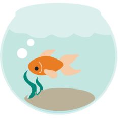 fish bowl