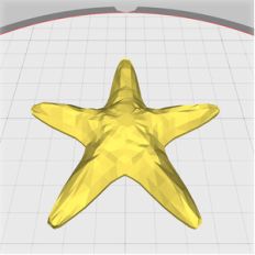 starfish embellishment