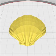 seashell