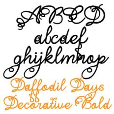 zp daffodil days decorative bold